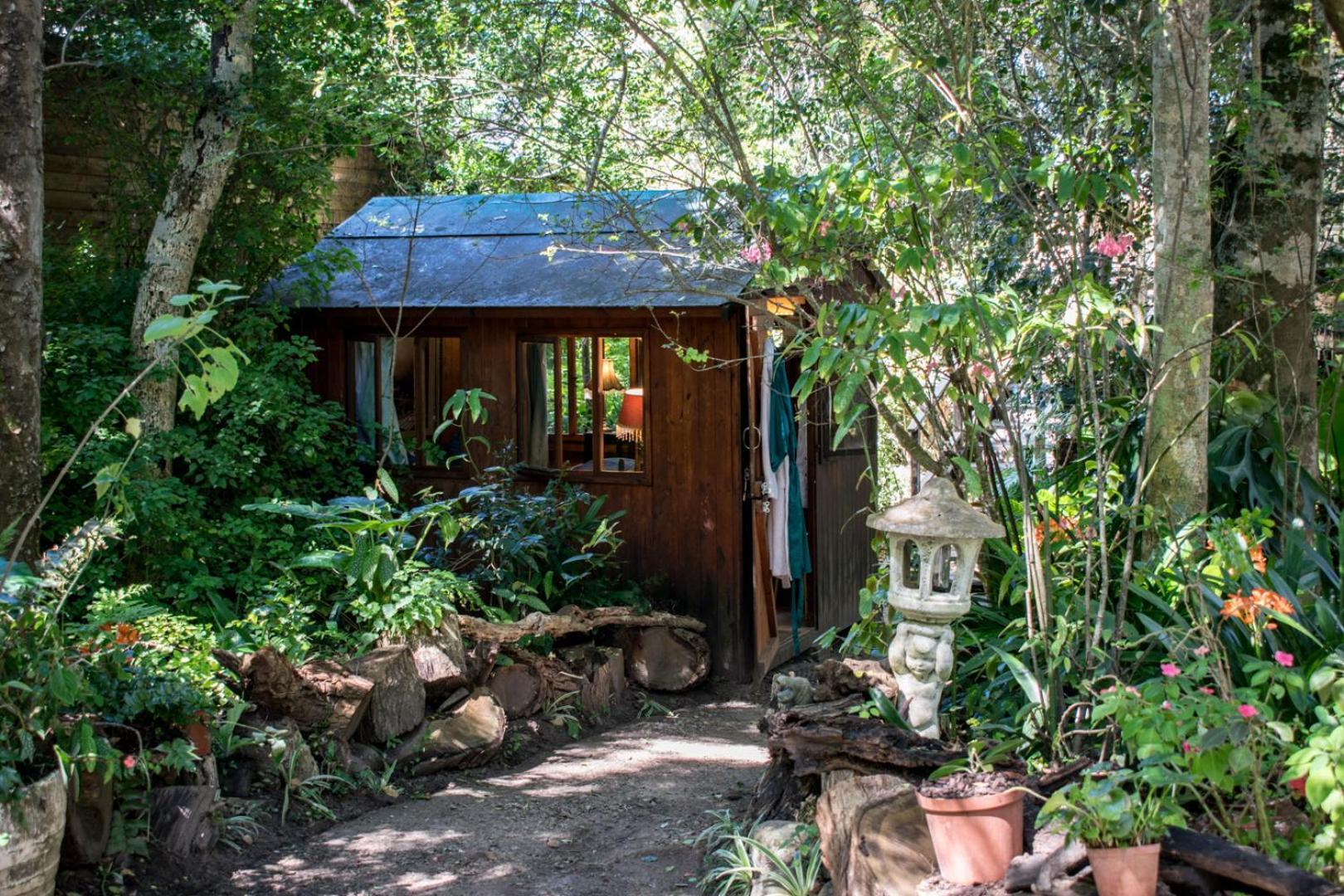 Nature'S Valley Health Retreat A Hide Away In The Forest Eksteriør bilde