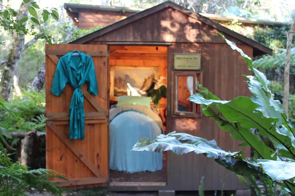 Nature'S Valley Health Retreat A Hide Away In The Forest Eksteriør bilde