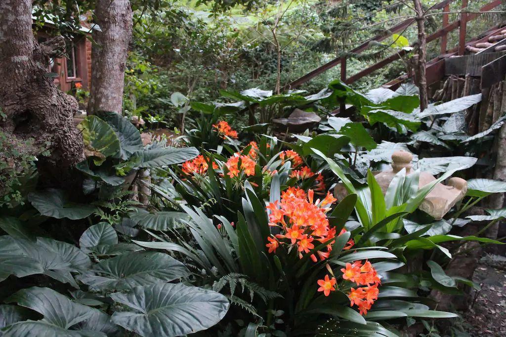 Nature'S Valley Health Retreat A Hide Away In The Forest Eksteriør bilde