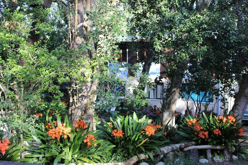 Nature'S Valley Health Retreat A Hide Away In The Forest Eksteriør bilde